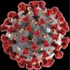 coronavirus.jpg