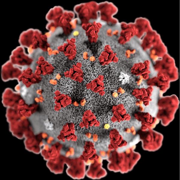 coronavirus.jpg